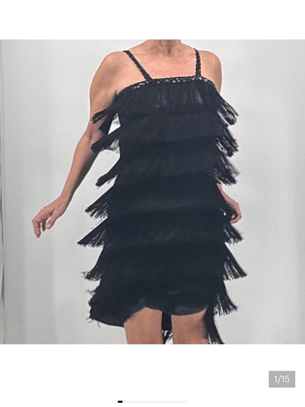 Fun Costumes Roaring 1920’s Great Gatsby Party Fringe Sequin Flapper Dress